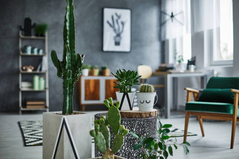 Les 7 meilleures plantes d’intérieur qui demandent littéralement 0 effort d’entretien