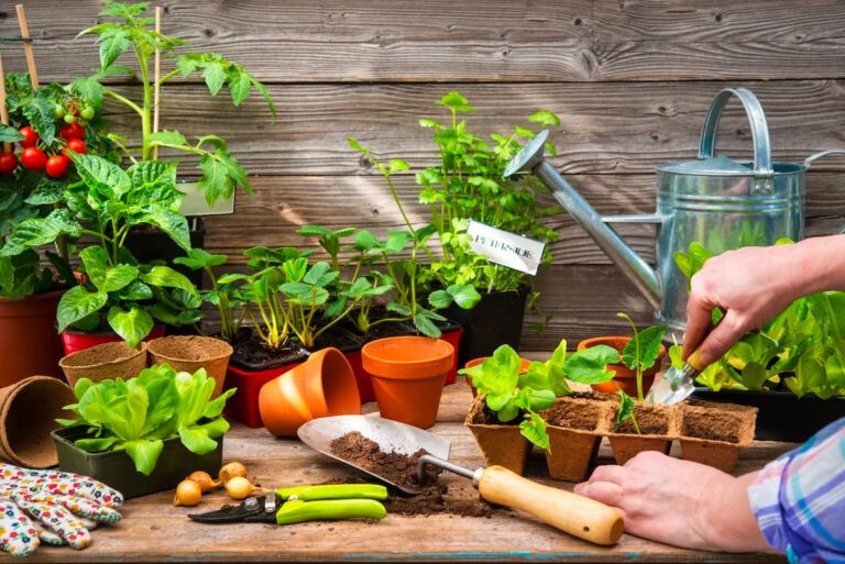 Comment préparer votre propre terreau pour potager à la maison : recettes et instructions faciles