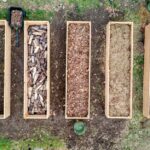 différents substrats et terreaux pour potager bio