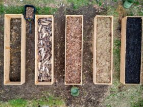 différents substrats et terreaux pour potager bio