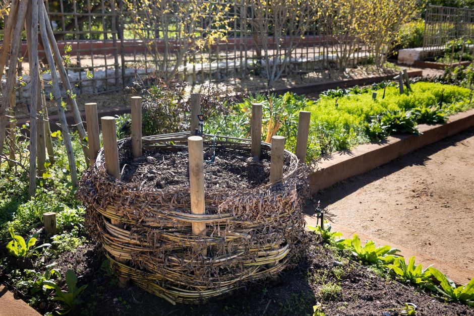 Compost mûr utilisé au jardin pour enrichir un potager bio